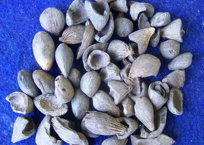 Sustainable Trade & Consulting (STC)