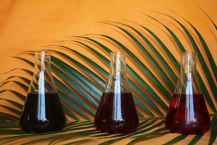 Sustainable Trade & Consulting (STC)