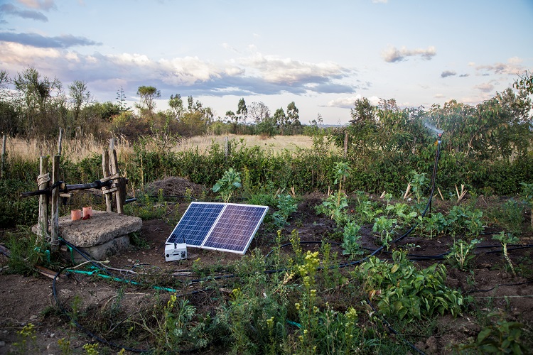 SunCulture Kenya Limited