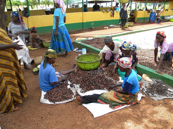 United Africa Fruit Company Ltd.