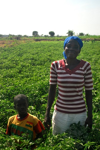 United Africa Fruit Company Ltd.