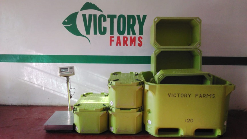 Victory Farms Limited