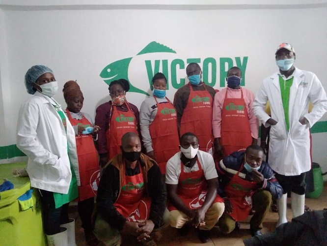 Victory Farms Limited