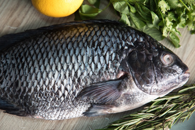 Victory Farms Limited