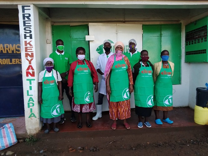 Victory Farms Limited