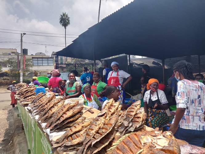 Victory Farms Limited