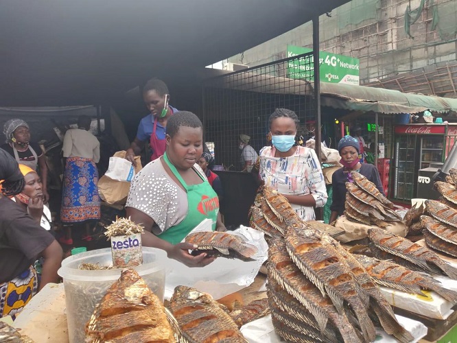 Victory Farms Limited