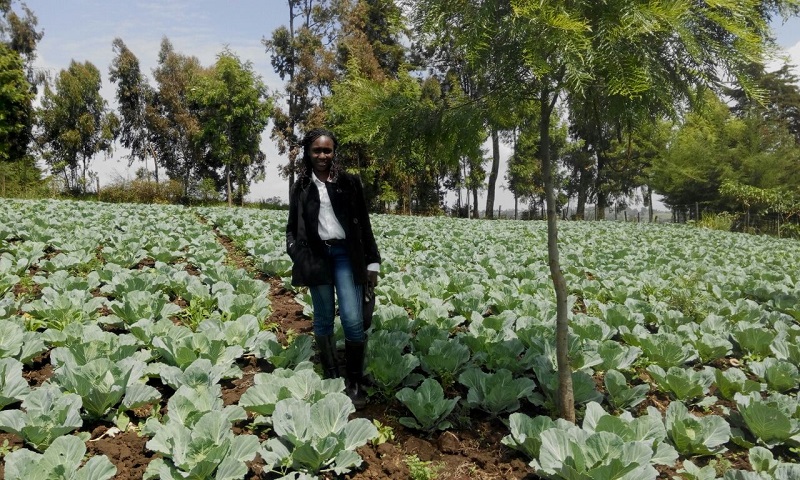 Wanda Organic Limited