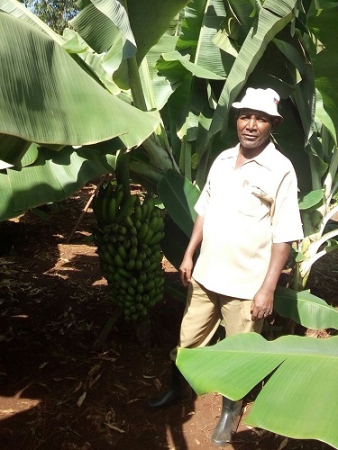 Wanda Organic Limited