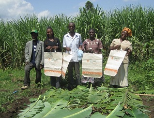 Wanda Organic Limited