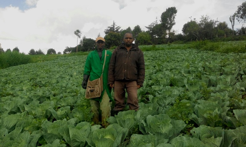 Wanda Organic Limited