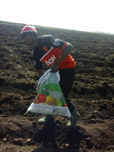 Wanda Organic Limited