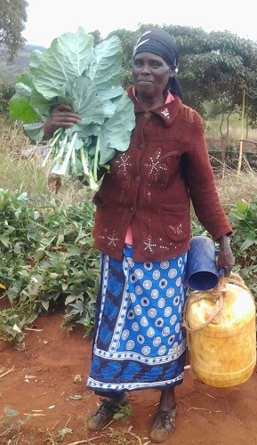 Wanda Organic Limited