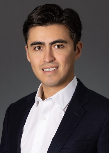 Vidal Kaufman, David J.