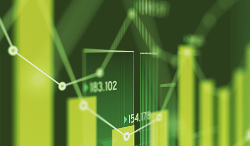 Company Stock Litigation