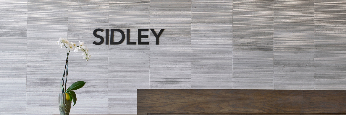Bloomberg Law: “Sidley Shakes Up Private Equity Space”