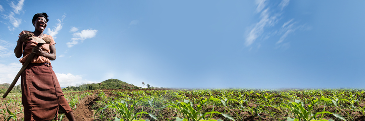 One Acre Fund Names Sidley “Service Partner of the Year”