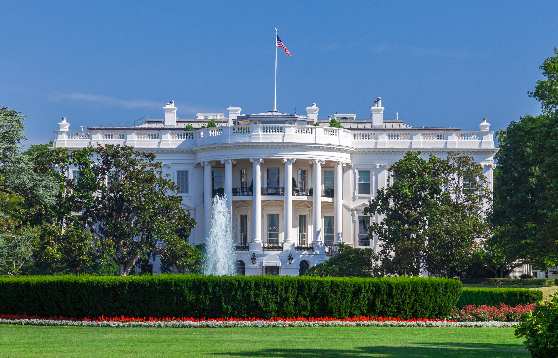 What will a Biden Administration Mean for Business?