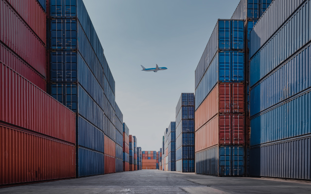 How Companies Can Navigate Uncertainty Amid Tariffs and Government Cuts