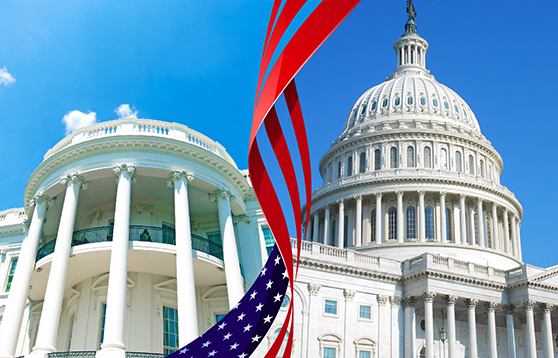 Gridlock or Gains? How the New Congress Will Impact Business