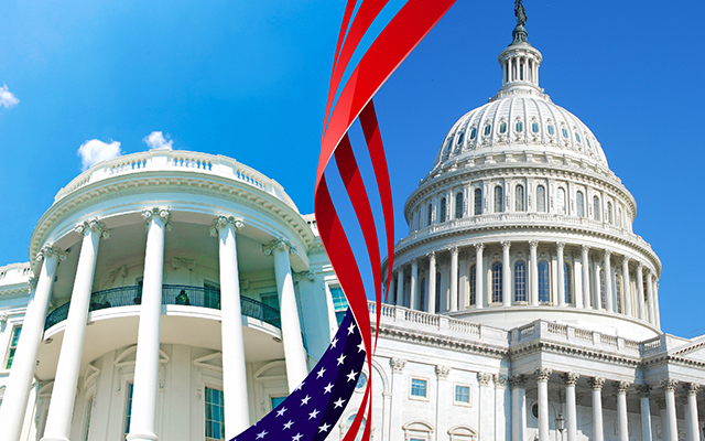 Gridlock or Gains? How the New Congress Will Impact Business
