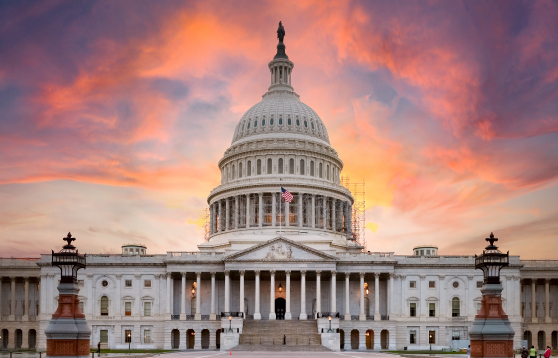 How Businesses Should Navigate a Tightly Divided New Congress
