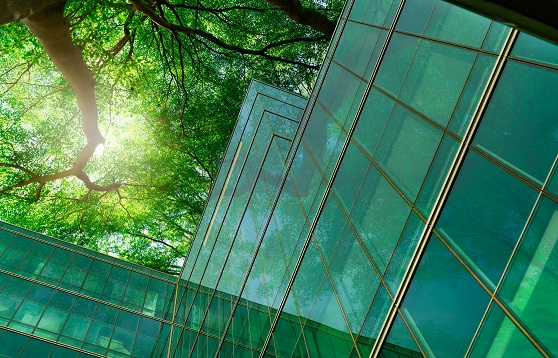 Sidley Austin LLP – ESG/Sustainability