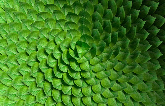 ESG Sustainability Monitor