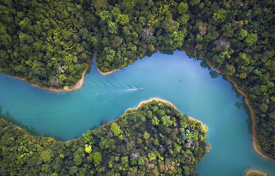 ESG Sustainability Monitor