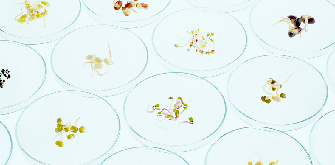 Global Life Sciences