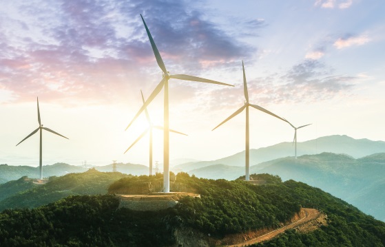 Environmental and Energy Brief