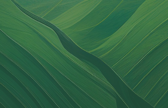 Sidley Environmental, Health, and Safety Brief