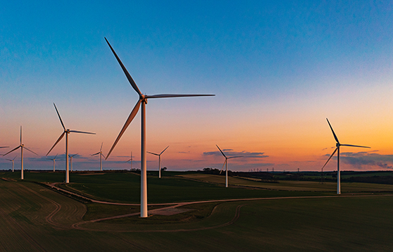 Environmental and Energy Brief