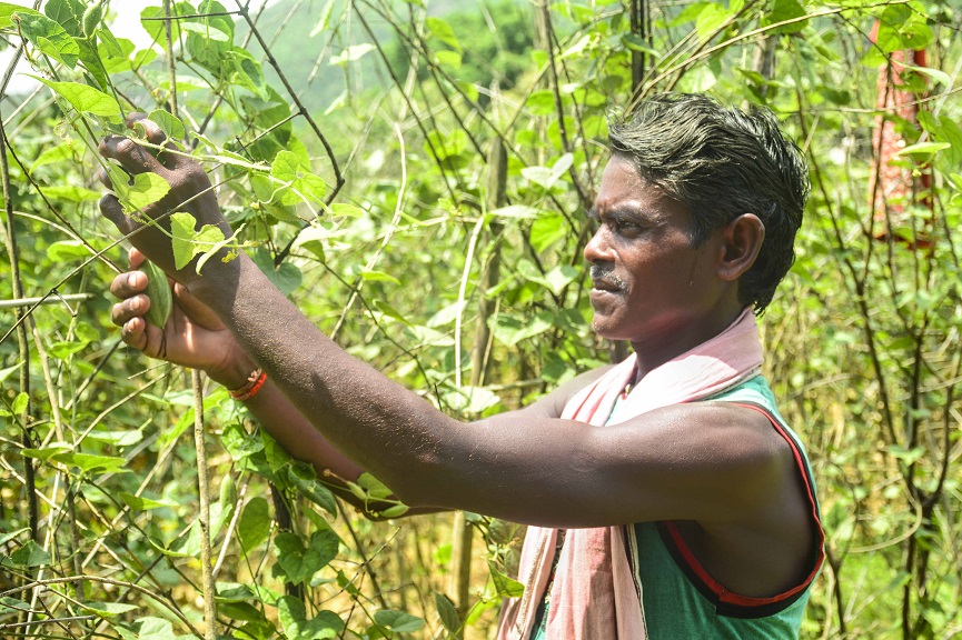 Blooom International, AG