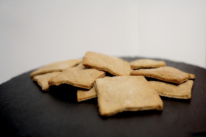 Costa Rica Insect Company (CRIC)