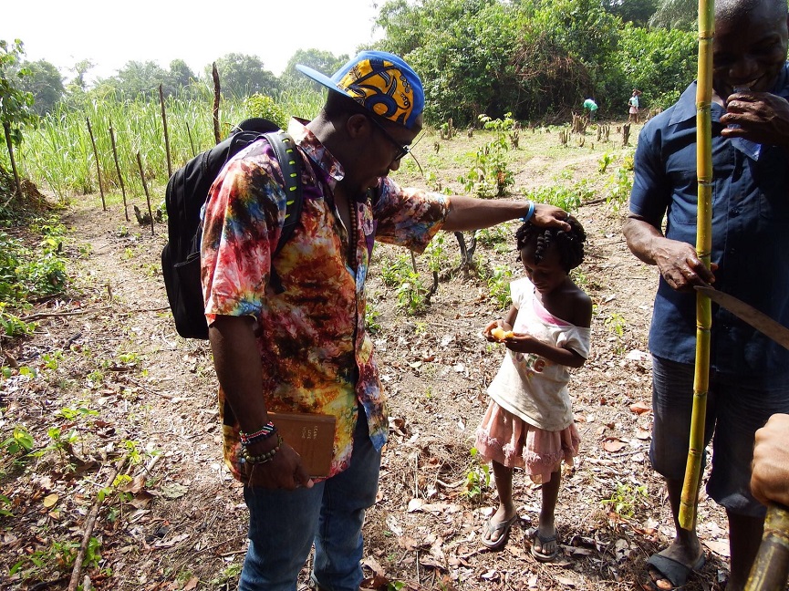 Icarus International