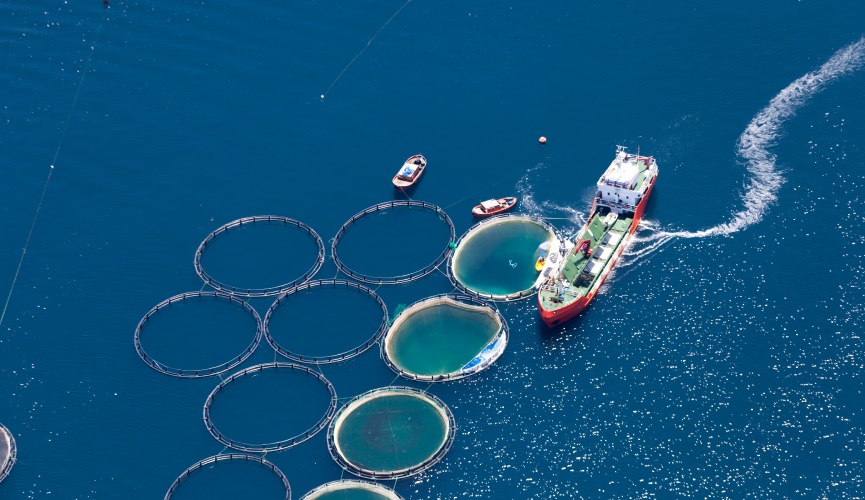 International Institute for Sustainable Development (IISD) 