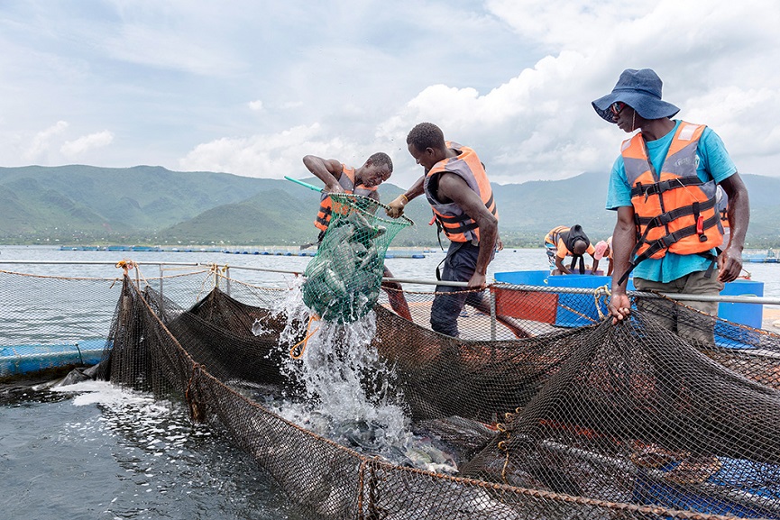 Victory Farms Limited