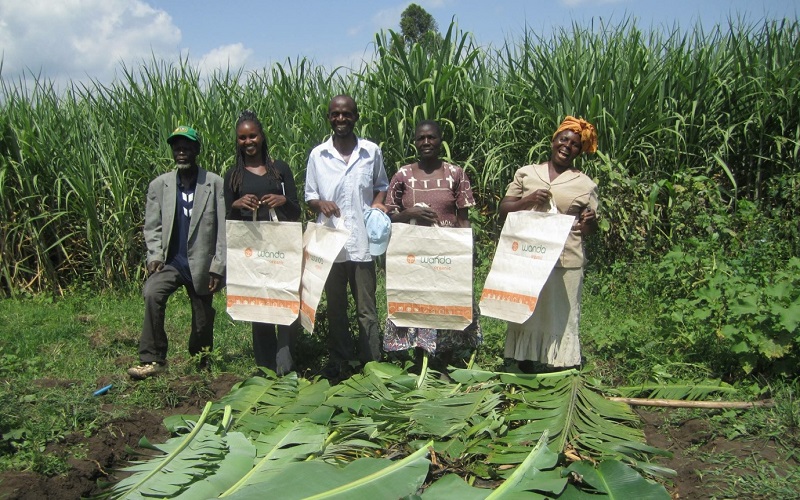 Wanda Organic Limited