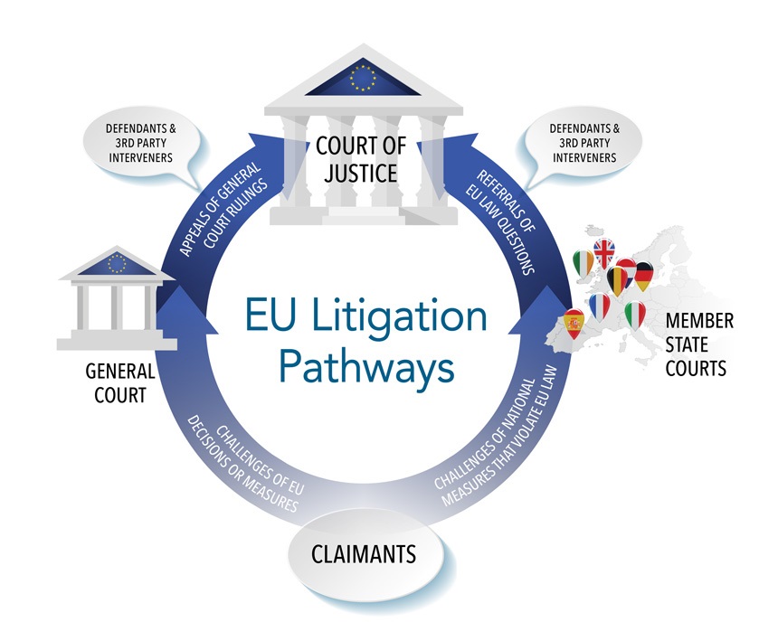 EU Litigation Pathways