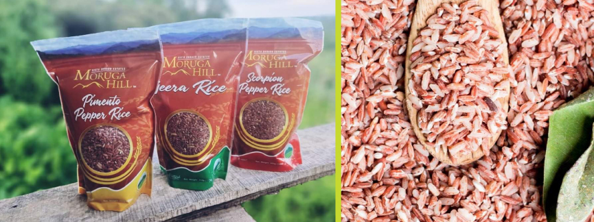 Sidley Pro Bono Client - CSAM