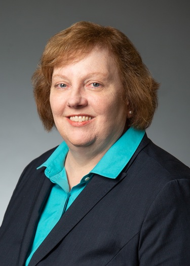 The Opportunities and Risks of Carbon Credits on the Pathway to Net ...